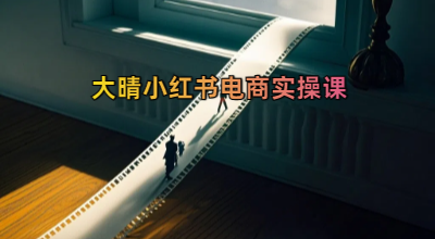 大晴小红书电商实操课