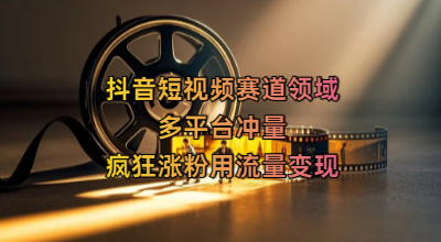 抖音短视频赛道领域，多平台冲量，疯狂涨粉用流量变现