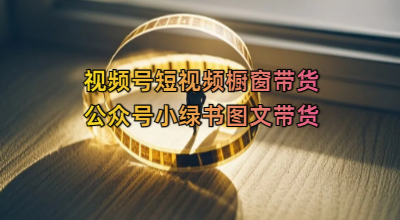 价值2980的视频号短视频橱窗带货和公众号小绿书图文带货